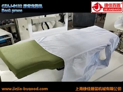 Arruga trasera de la prensa de planchar del cuerpo de la camisa de alta presión libre